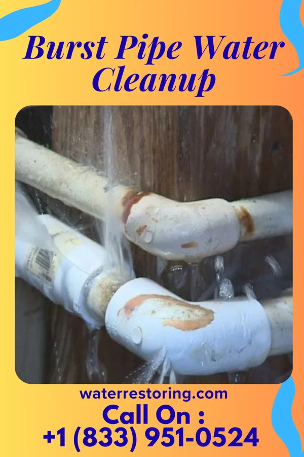Burst Pipe Water Cleanup in Kendrick, OK